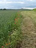 Blick vom Leubinger Grabhügel