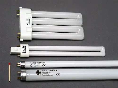 Von oben: 4-Stift-Steck­so­ckel 2G10, 2-Stift-Steck­sockel G23. Unten: Zweier­lei Typen Röh­ren­so­ckel