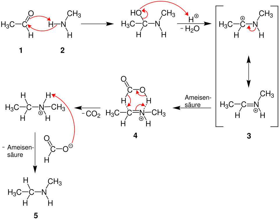 LeuckartWallach1