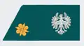 Leutnant (Tirol)