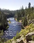 Lewis River, 2010