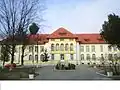 Gymnasium