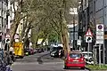 Straße mit durch Bäume eingeschränktem Lichtraumprofil und entsprechenden Verkehrszeichen