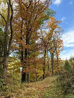 Liether Bachtal