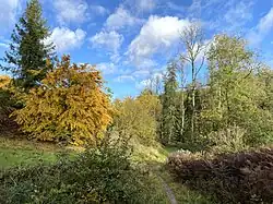 Liether Bachtal