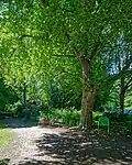 Eingang an der Wilhelm-Grimm-Straße