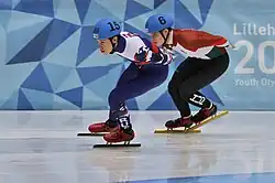 Sitnikow (2016)