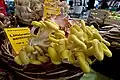 Zitronengelber Seitling Pleurotus citrinopileatus
