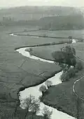 Rieselwiesen bei Klint (Fallingbostel) Aufn.: Richard Linde, vor 1921[6]