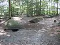 Großsteingrab Schlingsteine