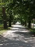 Kastanienallee