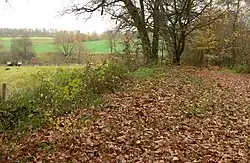 Schuttwall aus Steinen zum Bergrücken hin