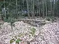 Blick über die Ruine Stückkirchen