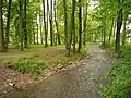 Als eingebundener Wasserlauf im Kurpark Kreischa