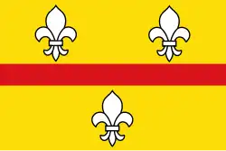 Flagge des Ortes Loenen
