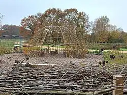 Benjeshecke und Weiden-„Tippi“ im November 2025