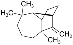 Strukturformel von Longifolen