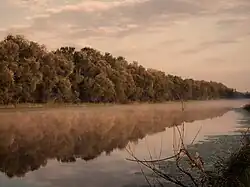 Naturpark Lonjsko polje