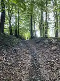 Alter Hohlweg nach Krebsöge