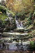 Der Ciuffenna kurz nach der Quelle bei Rocca Ricciarda