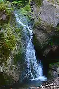 Mittlerer Hauptfall