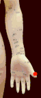 Lu 11