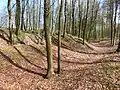 Links der Burgwall, rechts im Bild der Graben.