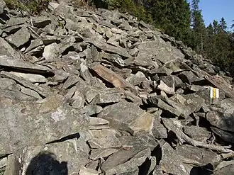 Blockhalde im Naturschutzgebiet