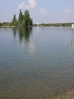 Willersinnweiher