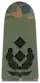 Oberstleutnant