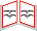 Kragenspiegel Lw