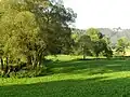 Die Luhe südlich von Leuchtenberg