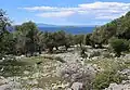 Naturreservat Olive-Gardens