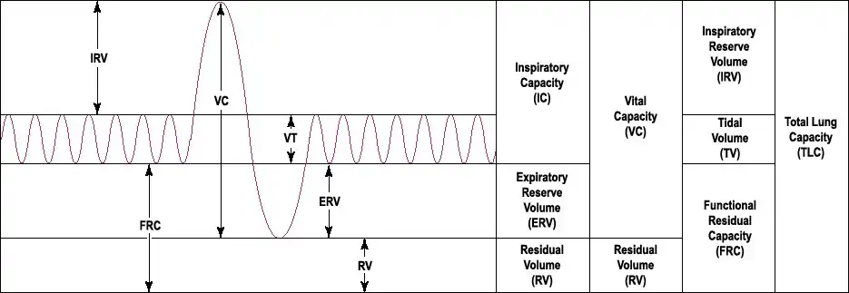 Diagramm Atemvolumen über Zeit, mit Erklärung der Parameter