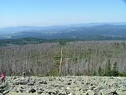 2004