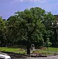 Paul-Friedrich-Brunnen, Luthereiche Wittenberg, 1924