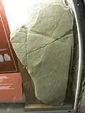 Menhir mit menschenförmigen Umrissen