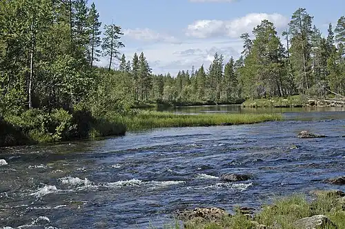 Lotta bei Inari im finnischen Teil Lapplands