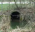 Unterirdisches Ende des Lyssachbaches (zurück in den Mülibach)