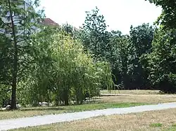 Baumgruppen (2020)