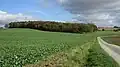 Der Ortsteil besteht größtenteils aus Feldern und Landschaft.