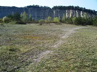 Auf dem Mönchsberg