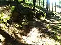 Burgruine Möstling