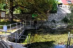 Geiselquelle