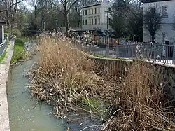 Am Eiskeller