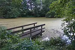 Mühlteich