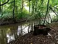 Mümling im Schlosspark (2022)