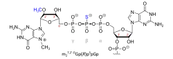 Beispiel für 1S3p-Analog (z.&nbsp;B. in BNT162c2)