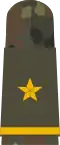 Aufschiebeschlaufe Oberfähnrich zur See (nicht Sanitäts­lauf­bahn) (eingestickter Stern)