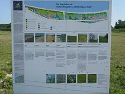 Infotafel